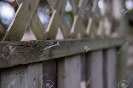 Maybe you would like to learn more about one of these? An Iron Nail Sticks Out Of A Piece Of Wood At The Top Of A Cedar Stock Photo Picture And Royalty Free Image Image 156429649