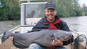 However, there are also other reasons aside from that, which do revolve around trust but are also separate entities too. Spring Catfish Spawn Connection