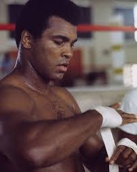 Siamak Mansouri's Instagram, Twitter & Facebook