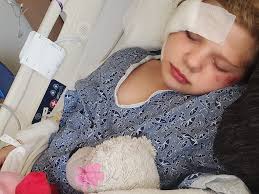 Fundraiser for Kimberly Boeckler by Noelia Bloom : Please help Raegan who  was attacked by 2 pitbulls