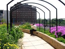 Architecture and design for healing. Schwab Rehabilitation Hospital Rooftop Garden Greenroofs Com