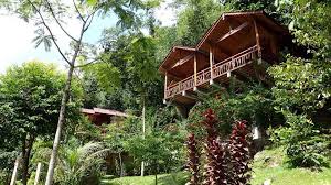 Se omdömen, bilder och bra erbjudanden på jungle view guest house närliggande sevärdheter inkluderar the bohorok orangutan centre at bukit lawang (0,8 km). Kupu Kupu Garden Guest House Cafe In Bukit Lawang North Sumatra Indonesia Home Facebook