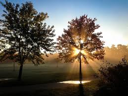 Erindale Park Mississauga Beautiful Scenery Pictures Photo Landscape