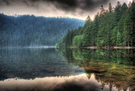 Strážce na místě proto na tuto skutečnost. Certovo Jezero Na Sumave Places To Go Natural Landmarks Nature