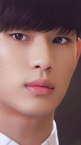 Garosero Criminal Organization: Falsifying Evidence and Slandering People