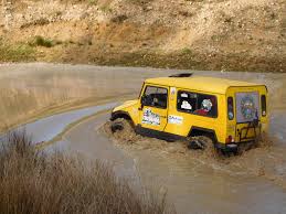 Image result for Light Blue 1984 UMM