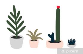Una de las mejores opciones es usar pintura para macetas de cemento y pintarlas a pincel. Vinilo Pixerstick Plantas Caseras Cactus Y Suculentas En Macetas Garabatos Dibujados A Mano Vector Illustrarion Pixers Vivimos Para Cambiar