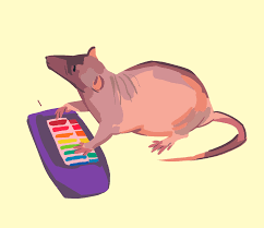 Neil bangin out the tunes