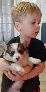 Couldn't resist! Guess this sweet babies name!