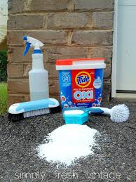 Tide Oxi Blogger Challenge How To Clean Brick Homemade Cleaning Solutions Diy Floor Cleaner