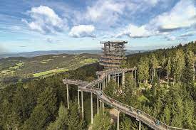 Deutschland • bayerischer wald • gotteszell. Waldwipfelweg In Maibrunn Bayerischer Wald