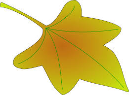 Gambar terkait dengan gambar daun dan bunga cengkeh. Maple Daun Bunga Gambar Vektor Gratis Di Pixabay