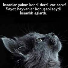 Gununkapaksozuveresmi Musmutluhaftalar Gunaydin Ilkbahar Yaz Sonbahar Kis Iyigeceler Siirmisali Gununsozu Gununresmi I Hayvan Sozleri Hayvan Haklari Hayvanlar