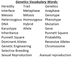 Genetics vocabulary crossword puzzle answer key. Genetics Vocabulary Worksheet Crossword Crossword Games Worksheets