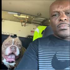 Why does my lizard let me pet him and bite me? ￼