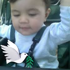 Faltan poco más de 15 días para que las 33 yuntas clasificadas demuestren  su talento para las paleteadas en la Final de Rodeos! bit.ly/2O1KJgG  #caballoscriollos #caballonacional #rodeos #paleteadas #argentina