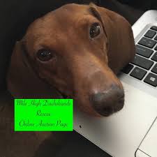 Click the small x to the right of a group's name and shelter # to report an error. Colorado Dachshund Rescue Home Facebook