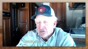 Worried about your mules in the cold? , Don’t bother with blankets, they’ll  just roll ‘em off. , Instead, give them good roughage and lay down straw or  shavings to block the wind. , They’re tougher ...