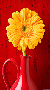 wallpaper for samsung galaxy note 3 posted by samantha walker wallpaper for samsung galaxy note 3