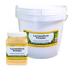 Image result for Lycopodium