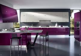 Purple minimalist kitchen