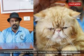 All the best hairstyles and trends for cat shows near me 2019.get the latest hairstyle photos and reviews from the editors at jsemedia.com. Coimbatore Cattery Club Presents Two Day Cat Show In The City Simplicity