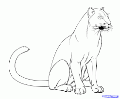 Black Panther Drawings How To Draw Panthers Black Panthers Step 15 Black Panther Drawing Animal Drawings Lion Pictures