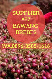 Daftar harga bawang merah 1kg terbaru juli 2021. Termurah Wa 0896 3585 1616 Supplier Brambang Brebes Di Tegal Slawi Brebes Sayuran Bawang Merah Bawang