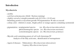 Acid-Fast Positive And Acid-Fast Negative Mycobacterium Tuberculosis: The  Koch Paradox | Microbiology Spectrum
