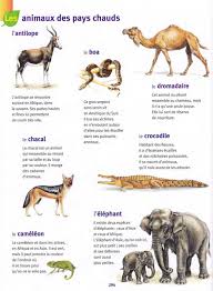 Animaux Des Pays Chauds Larousse Des Maternelles Animaux Du Desert Animaux Animaux Terrestres