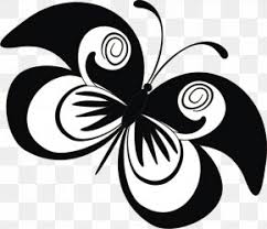 564x607 butterfly and flower clip art black and white clipart. Silhouette Butterfly Images Silhouette Butterfly Transparent Png Free Download