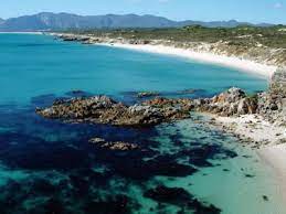 Walker Bay Nature Reserve Cape Overberg South Africa