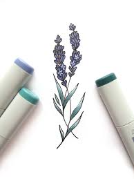 Lavender Drawing Lavender Tattoo Wildflower Tattoo Tattoo Outline