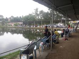 Selangor merupakan antara negeri terpadat di malaysia dengan mempunyai pelbagi lokasi memancing best review. Kolam Air Masin Kolam Memancing Ikan Mambau Seremban Facebook