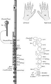 Flute Keys Chart Harry Potter Flute Finger Chart Flute Notes