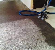 Assessment of rug to determine the best cleaning option. Carpet Cleaning In Ocala And The Villages Florida Chris Carpet Care