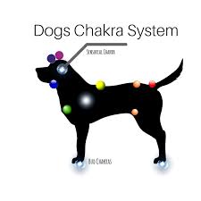 Working With Animal Chakras Humanity Healing Network