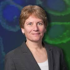 Bioorthogonal and Click Chemistry<br>Curated by Prof. Carolyn R. Bertozzi,  2022 winner of the Nobel Prize in Chemistry