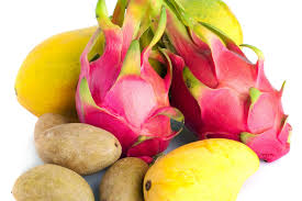 The fascinating butterflies also indicate healthy ecosystem around us. Just Fruits And Exotics