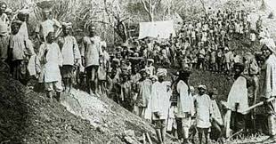 Twice Migrants – Indentured Labourers ...