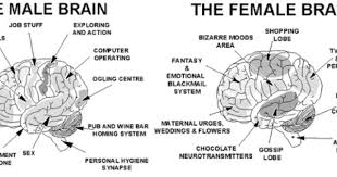 Info Junction Blog The Male Female Brain Difference Emotional Blackmail Men Vs Women Psychology