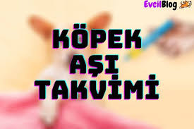 Kopek Asi Takvimi Guncel Kopek Asi Fiyatlari 2020 Evcilblog