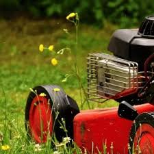 How to catch squirrels in attic, gutters and deck legally. Buy Lawn Mowers Whipper Snippers Buy Ride On Mower Humm