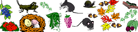 We at wet possum foods deliver gourmet meals to your door, wow you and your guests at your we specialize as personal and private chefs who also offer cooking lessons and gourmet food delivery in. Opossum Diet