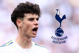 Anthony Joshua lauded after impressive victory over Andy Ruiz