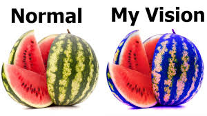 To give you an idea about what the colorblind see, we've collected different. Cool Color Blind Trick Youtube