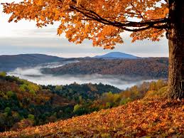 See Vermont Fall Foliage In These 15 Beautiful Places Autumn Landscape New England Fall Foliage New England Foliage
