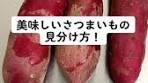 美味しい焼き芋の見分け方とポイント