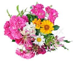 Choose from a wide selection of reasonably priced, professionally designed flowers. Fresh Cut Flowers Perfume Ksa Abdul Samad Al Qurashi