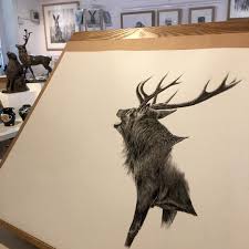 373 Me Gusta 3 Comentarios Nolon Stacey Nolon Stacey En Instagram Quot Got Quite A Lot Don 39 T Today Reddee Wildlife Art Amazing Drawings Drawings